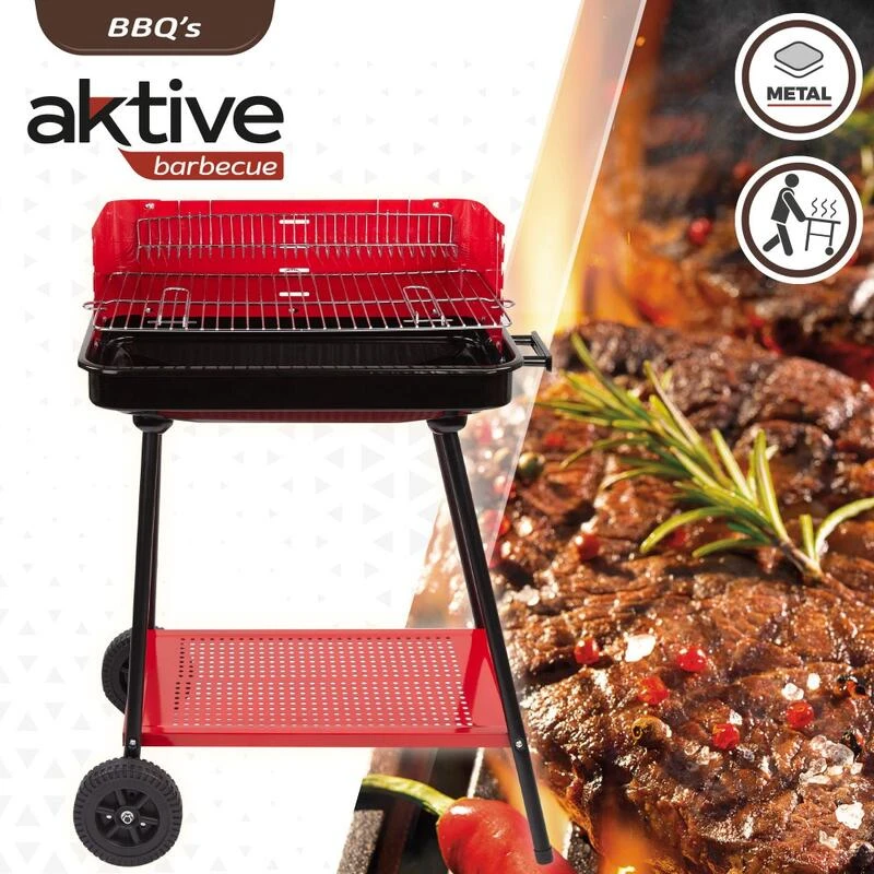 Barbecue Portable Au Charbon De Bois Pour 4 Niveaux Aktive – Image 2